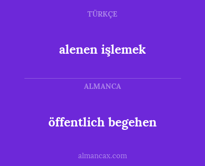alenen işlemek - öffentlich begehen