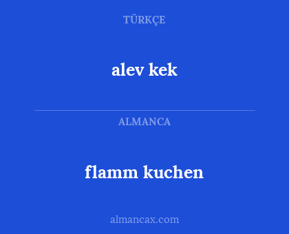 alev kek - flamm kuchen