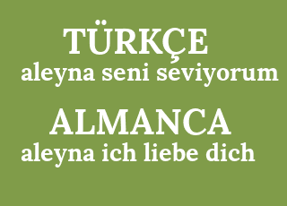 aleyna+seni+seviyorum-aleyna+ich+liebe+dich.png