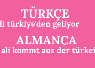 ali+t%C3%BCrkiye%26%2339%3Bden+geliyor-ali+kommt+aus+der+t%C3%BCrkei.png