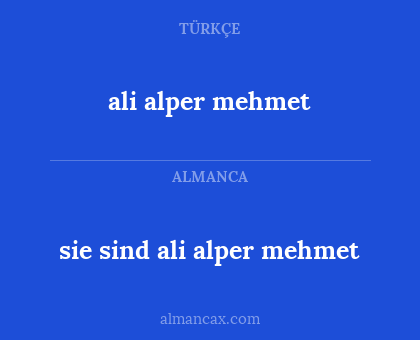 ali alper mehmet - sie sind ali alper mehmet
