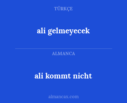 ali kommt nicht - ali gelmeyecek