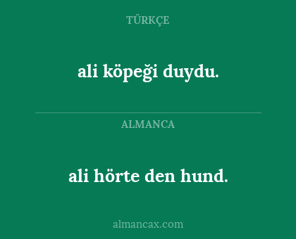 ali köpeği duydu. - ali hörte den hund.