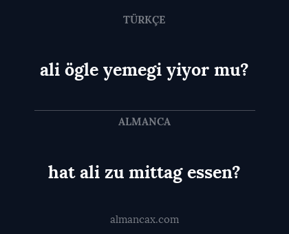 hat ali zu mittag essen? - ali ögle yemegi yiyor mu?