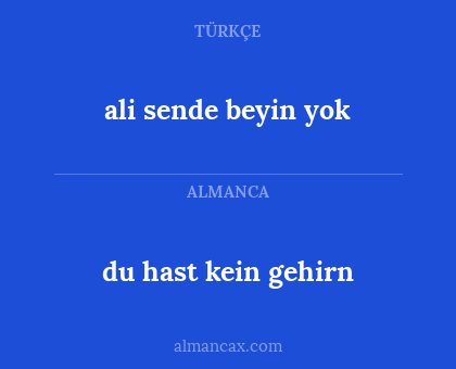 du hast kein gehirn - ali sende beyin yok