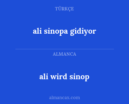 ali wird sinop - ali sinopa gidiyor