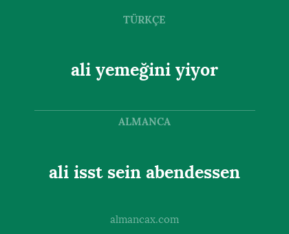 ali isst sein abendessen - ali yemeğini yiyor