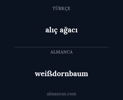 alıç ağacı - weißdornbaum