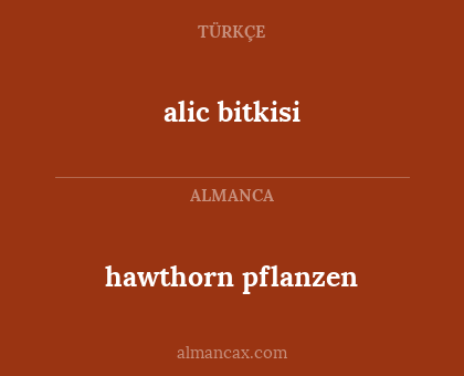hawthorn pflanzen - alic bitkisi