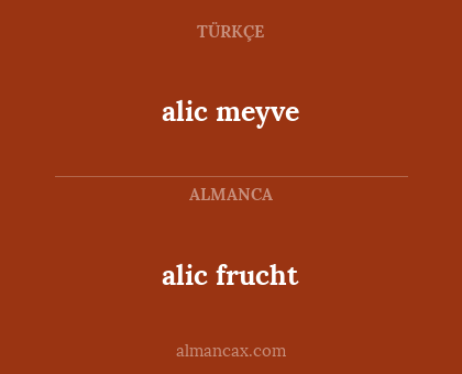 alic meyve - alic frucht