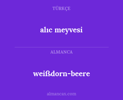 alıc meyvesi - weißdorn-beere