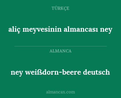 aliç meyvesinin almancası ney - ney weißdorn-beere deutsch