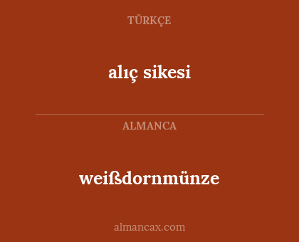 weißdornmünze - alıç sikesi