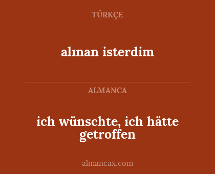 ich wünschte, ich hätte getroffen - alınan isterdim