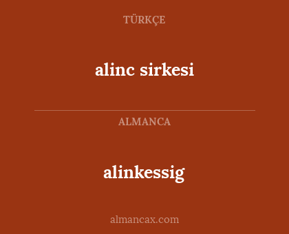 alinc sirkesi - alinkessig