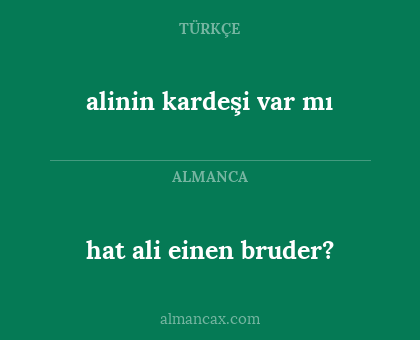 hat ali einen bruder? - alinin kardeşi var mı