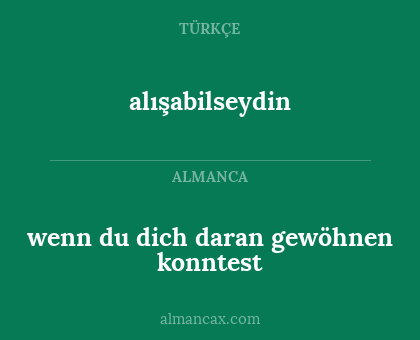 alışabilseydin - wenn du dich daran gewöhnen konntest