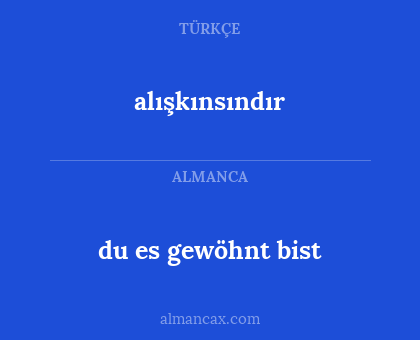 du es gewöhnt bist - alışkınsındır