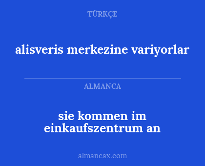 sie kommen im einkaufszentrum an - alisveris merkezine variyorlar