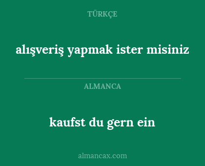 alışveriş yapmak ister misiniz - kaufst du gern ein