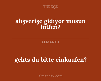 alışverişe gidiyor musun lütfen? - gehts du bitte einkaufen?