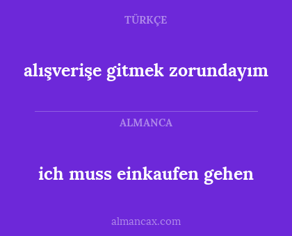 alışverişe gitmek zorundayım - ich muss einkaufen gehen