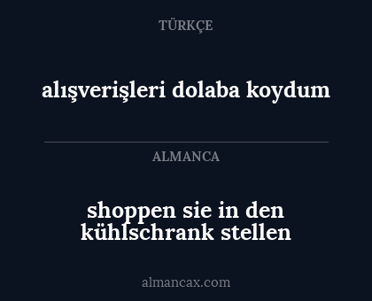 alışverişleri dolaba koydum - shoppen sie in den kühlschrank stellen
