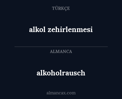 alkoholrausch - alkol zehirlenmesi