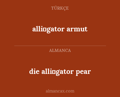 alli̇gator armut - die alli̇gator pear