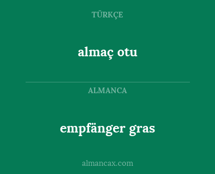 empfänger gras - almaç otu