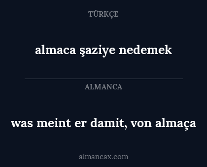 almaca şaziye nedemek - was meint er damit, von almaça
