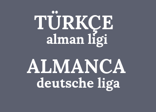 alman+ligi-deutsche+liga.png