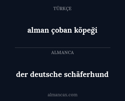 der deutsche schäferhund - alman çoban köpeği