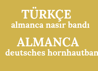almanca+nas%C4%B1r+band%C4%B1-deutsches+hornhautband.png