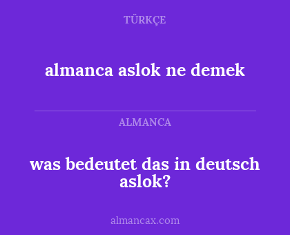 was bedeutet das in deutsch aslok? - almanca aslok ne demek
