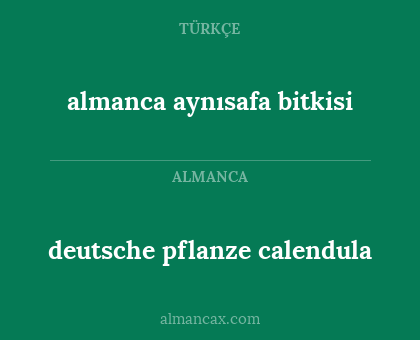 almanca aynısafa bitkisi - deutsche pflanze calendula