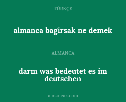 darm was bedeutet es im deutschen - almanca bagirsak ne demek