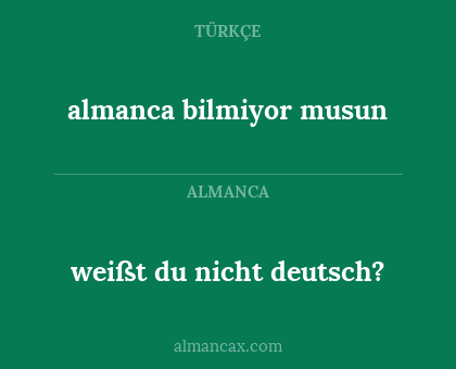 almanca bilmiyor musun - weißt du nicht deutsch?