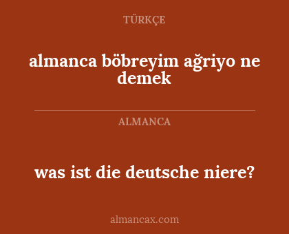 was ist die deutsche niere? - almanca böbreyim ağriyo ne demek