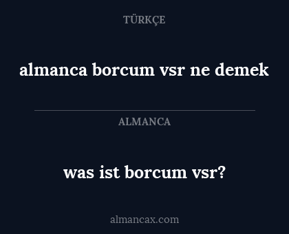 almanca borcum vsr ne demek - was ist borcum vsr?