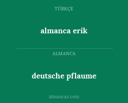 almanca erik - deutsche pflaume