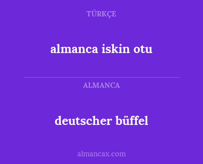 deutscher büffel - almanca iskin otu