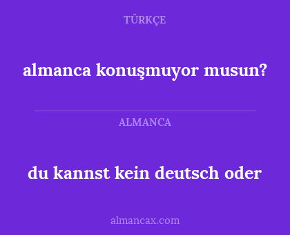 du kannst kein deutsch oder - almanca konuşmuyor musun?