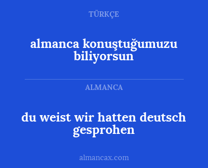 almanca konuştuğumuzu biliyorsun - du weist wir hatten deutsch gesprohen