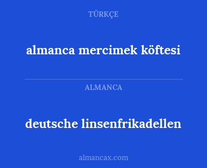 almanca mercimek köftesi - deutsche linsenfrikadellen