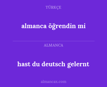 almanca öğrendin mi - hast du deutsch gelernt