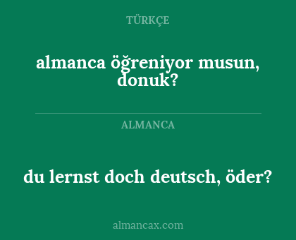 du lernst doch deutsch, öder? - almanca öğreniyor musun, donuk?
