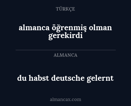 almanca öğrenmiş olman gerekirdi - du habst deutsche gelernt