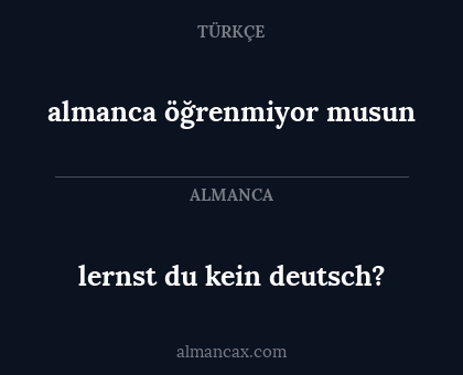 lernst du kein deutsch? - almanca öğrenmiyor musun