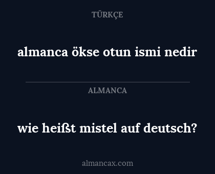 wie heißt mistel auf deutsch? - almanca ökse otun ismi nedir